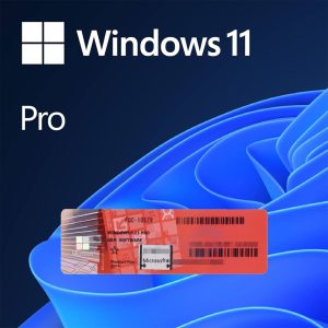 SERVIZIO DI INSTALLAZIONE Windows 11 Pro + Chiave Licenza Attivazione COA (da abbinare a un PC)