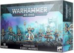 Rubric Marines
