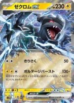 Zekrom ex
